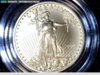 2008 W Gold1.jpg