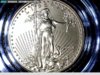 2008 W Gold5.jpg