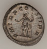 Postumus R.jpg