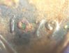100_3310.jpg