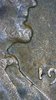 Image_2021-01-24 15_51_51_822.JPG