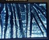 20210125_113706.jpg