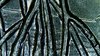 WIN_20210126_09_20_06_Pro.jpg