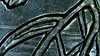 WIN_20210126_09_20_59_Pro.jpg