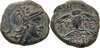 Pergamon Owl MAShops. saeen 4.8.20 a.jpg