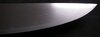 37701107-EB83-495C-845C-42AD4704F042.jpeg