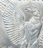 Wing1.jpg