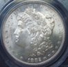 1882-SMorgan$1ObvB.jpg