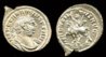 Carausius1.jpg