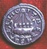 Carausius3.jpg