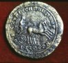 Carausius2.jpg