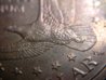 Dollar coin error (2).jpg