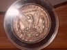 SDC16047.jpg