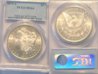 1879-S Morgan Dollar Pcgs MS-64 9-10 Holders side by side.jpg