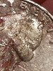 20210217_110309.jpg