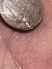 2C770E9E-2549-4AF5-83BA-BB2271BC4E14.jpeg