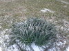 20210215_084344.jpg