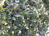 20210215_084535.jpg