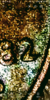 Screenshot_20210219-130504.png