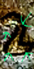 Screenshot_20210219-130538~2.png