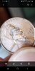 Before Acetone.jpg