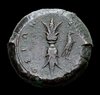 Syracuse hemidrachme reverse (2).jpg