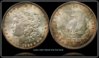 1886 NGC MS64 Old SLAB 2-horz.jpg