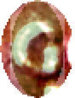 katia_overlay_G.jpg
