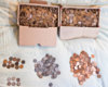Cent Collection -1.jpg