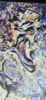 56E68B63-5ECB-4712-A534-BA0B2385B853.png