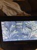 FF7875AA-E4E4-4523-B2F0-D71161B01F33.jpeg