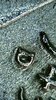 86C6DAF9-8893-413F-A9EC-08FAFCC0A6D4.jpeg