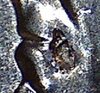 20210307_194933.jpg