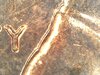 20210304_0855_014_0.000.jpg