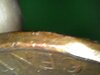 20210310_1417_021_0.000.jpg