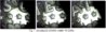1969-S 50c PR DDO dbld stars_a.jpg