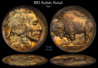 1913_Buffalo_PCGS.jpg