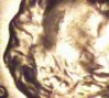 081811005851.jpg