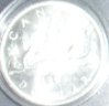 DSCN2312.JPG