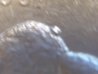 100_3390.jpg