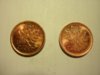 2010 Wide And Normal 2 shrunk.jpg