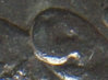 jkn_87P_Pcap_8.jpg