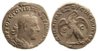 gallus_tet_RY-2_11.47gr_amphora-coins_01.jpg