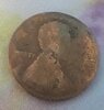 Penny no date.jpeg