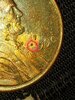 20210319_151908.jpg