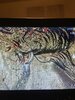 E3DE735A-5A56-43BC-8F85-F2404A0BDAD0.jpeg