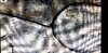 1881-O-Single_Line_Cap_Vee.jpg