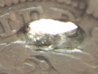 1854-O SD 10c plug B.jpg