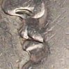 100_6007.JPG
