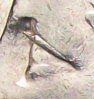 100_6004.JPG